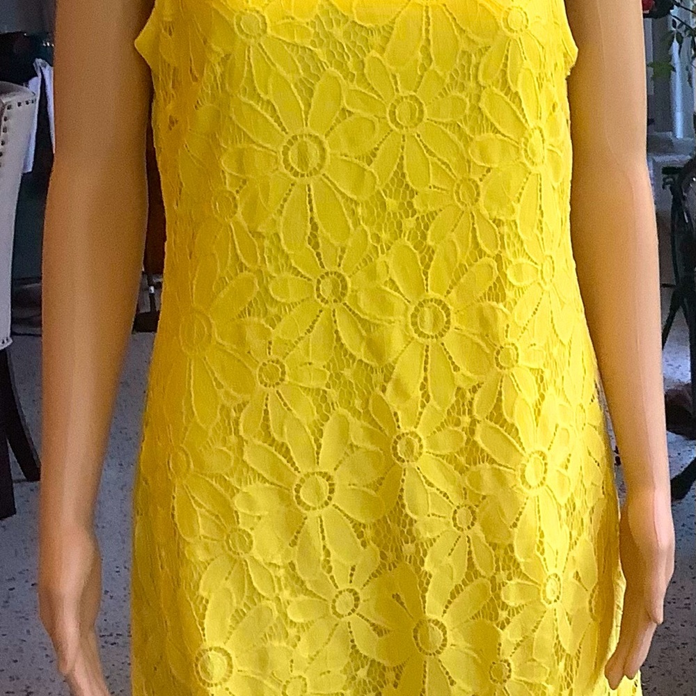 Pretty lace knit dress